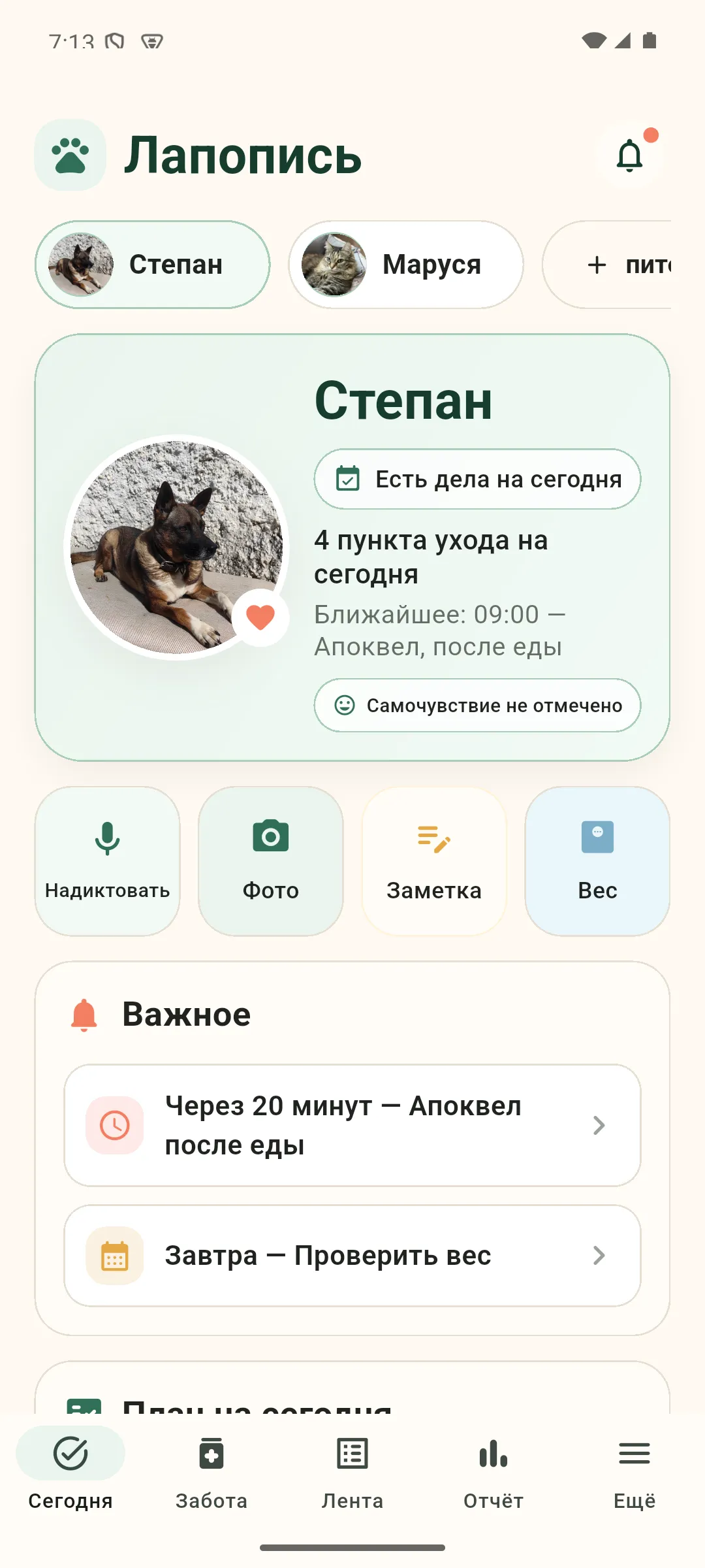 Главный экран Lapopis с питомцем, делами на сегодня и быстрыми действиями