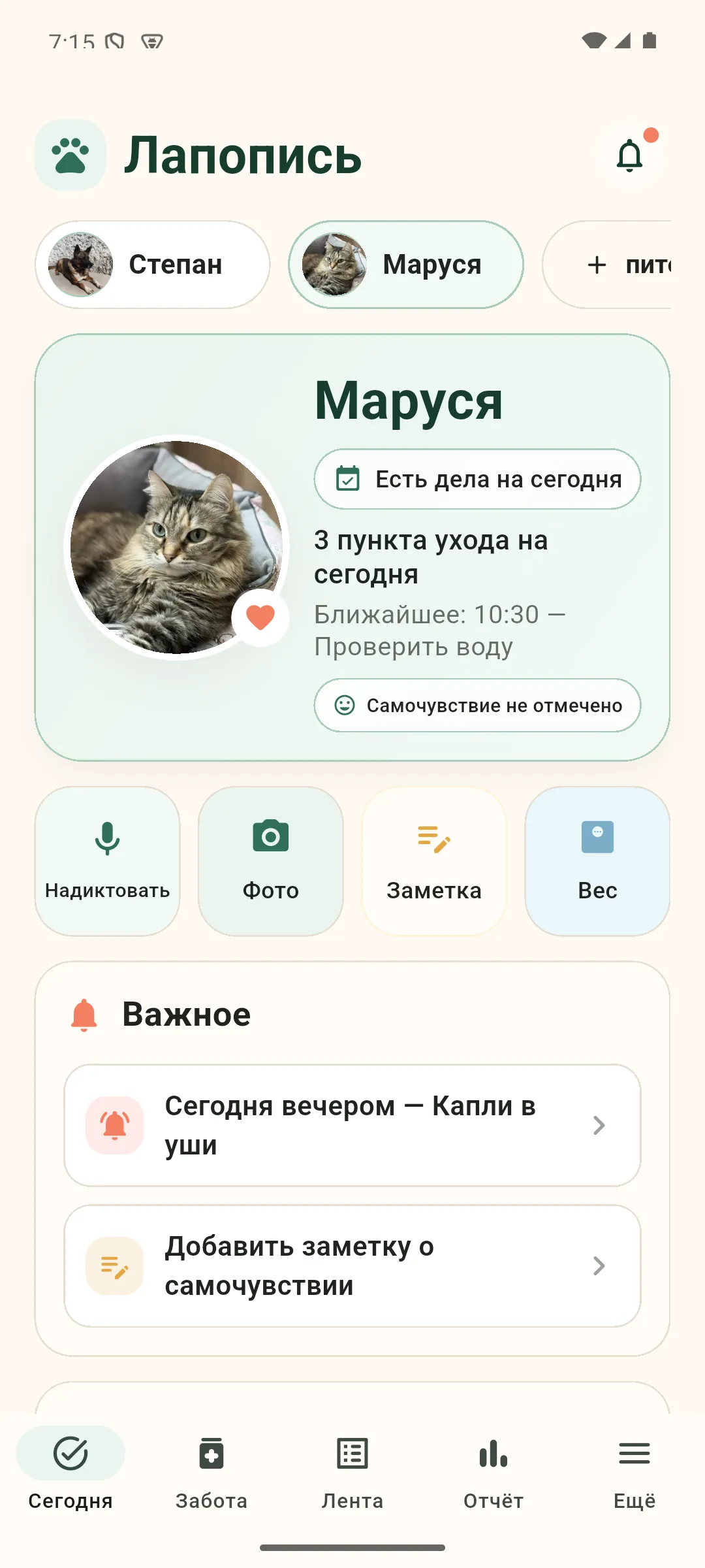 Экран Lapopis с выбранным вторым питомцем