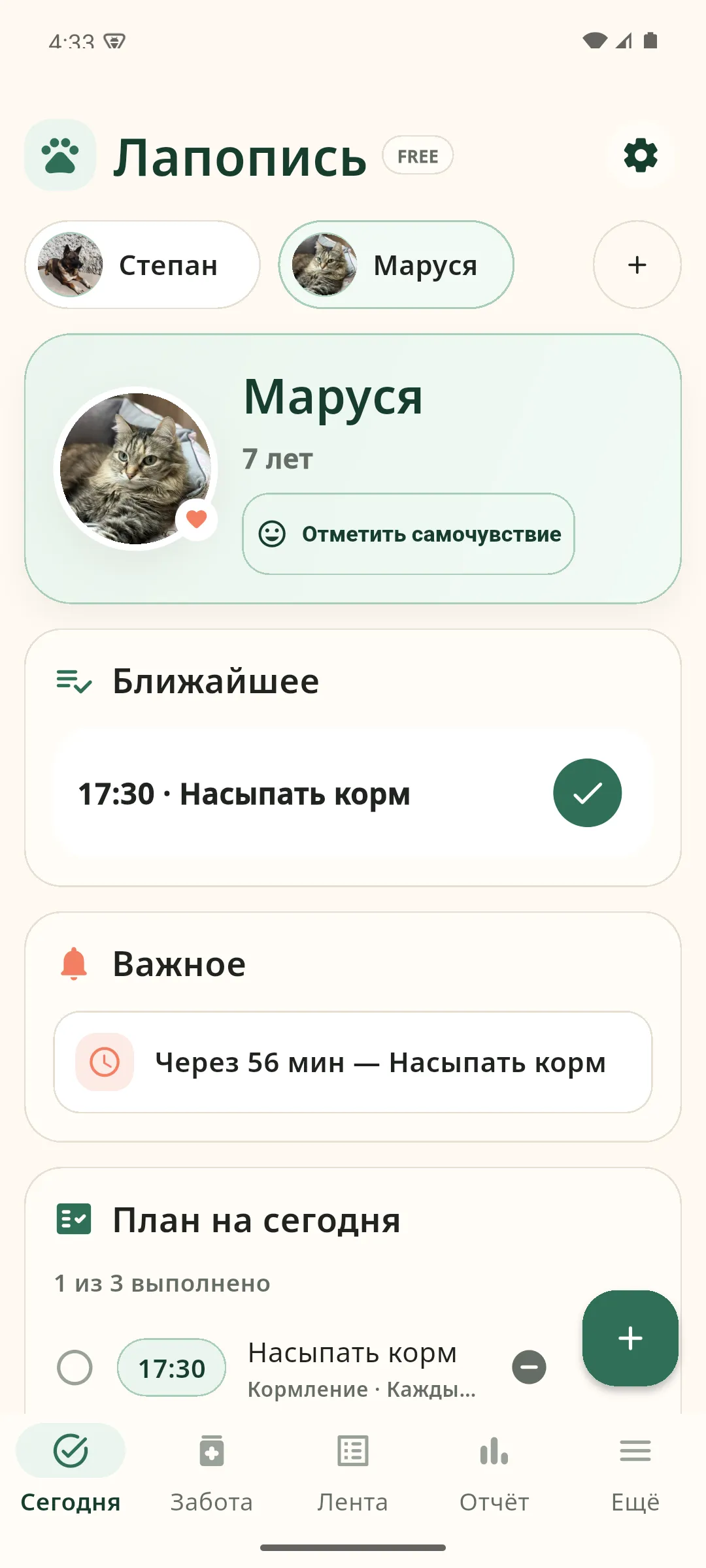 Экран Lapopis с выбранным профилем кошки Маруси